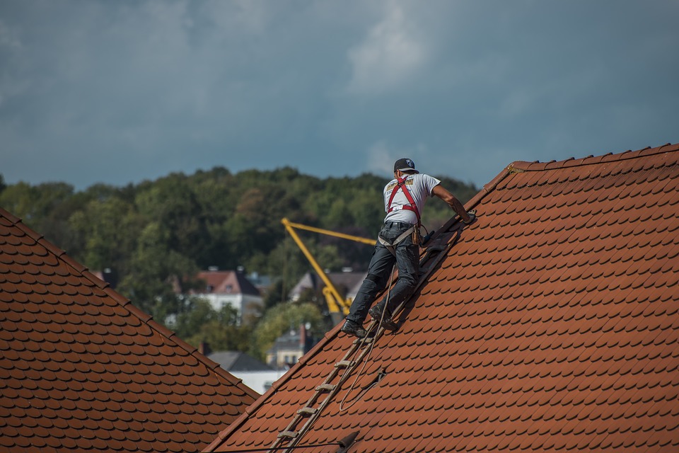 Best roof maintenance tips